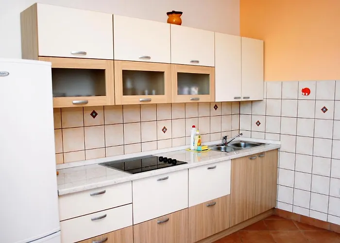 Mastrinka 1005a 特罗吉尔